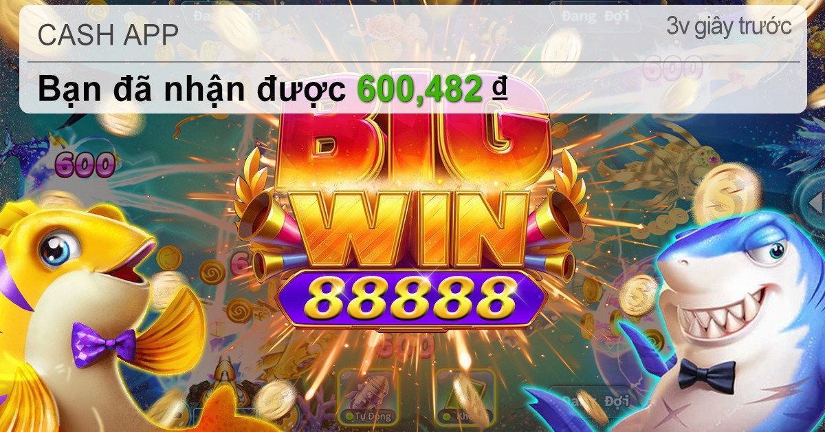 555rwin