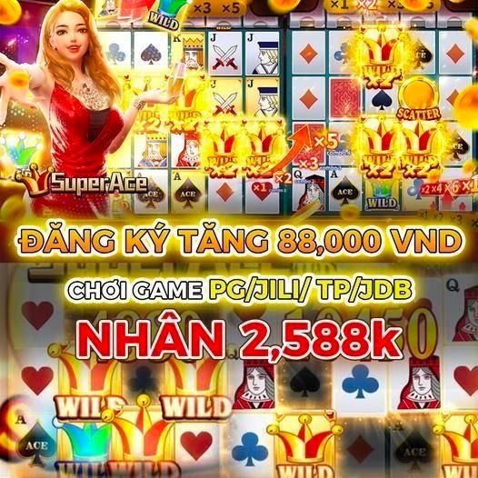 555rwin